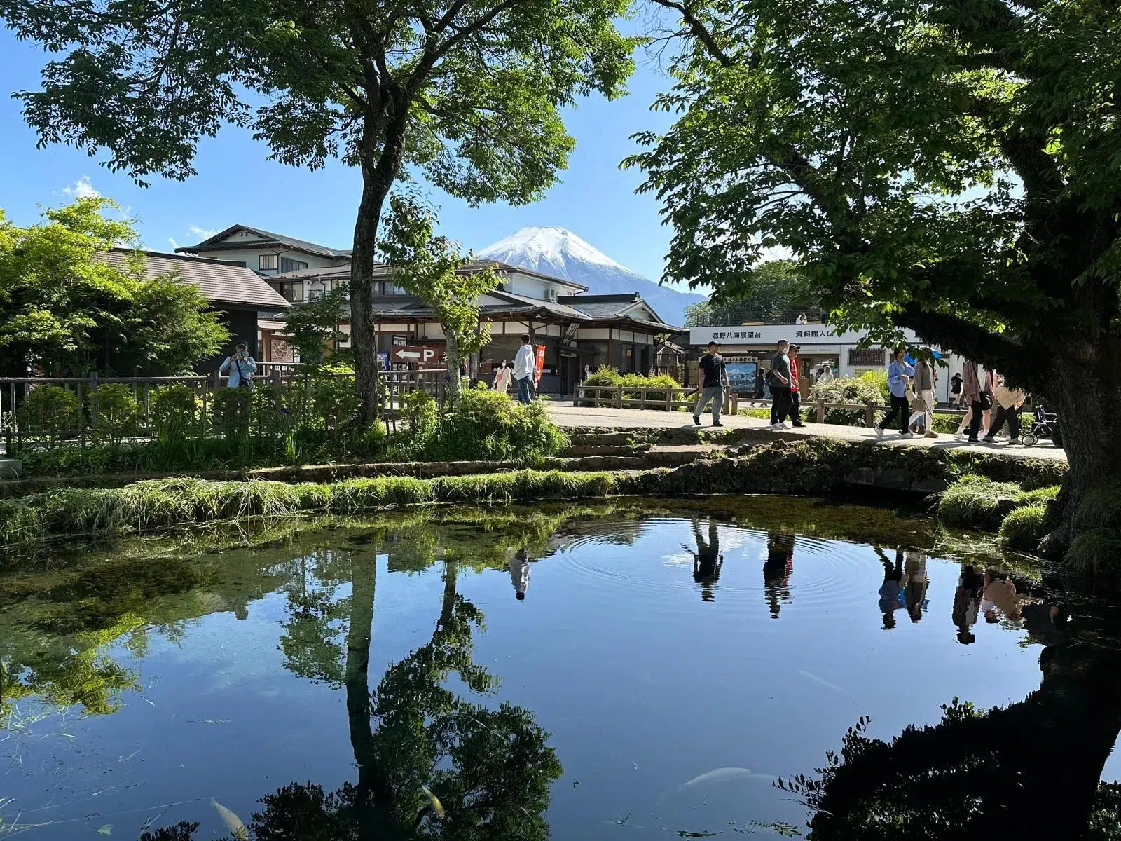 Kids and Seniors Friendly 16D16N Japan Itinerary Day 6 – Embark on an Adventure: Exploring the Enchanting Beauty of Lake Kawaguchi, Mt. Fuji Panoramic Ropeway and Oshino Hakka