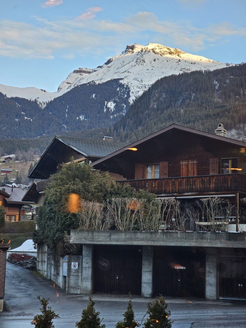 The view that greeted us when we stepped out of Hotel Glacier