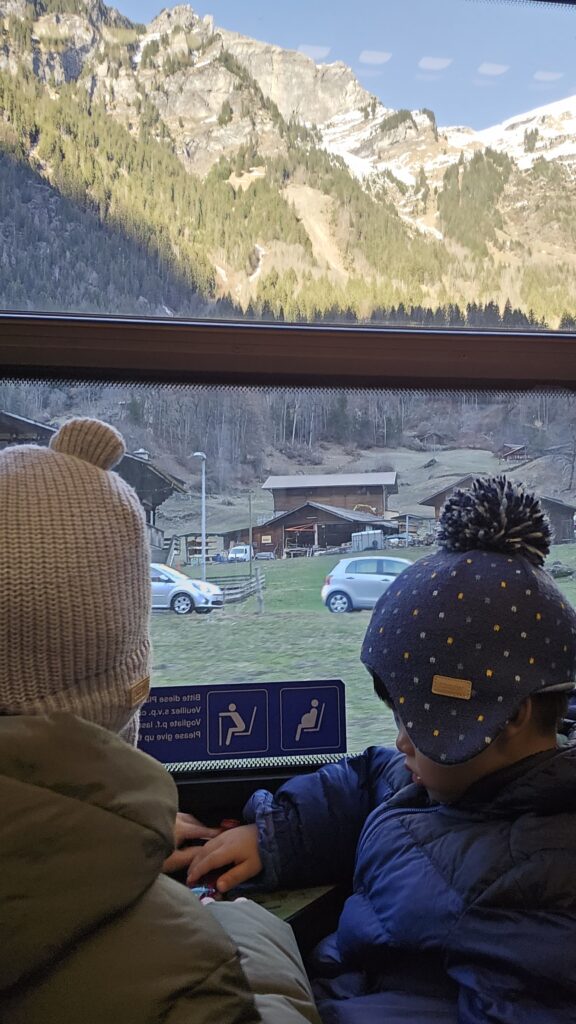 Boys enjoying the Switzerland train ride