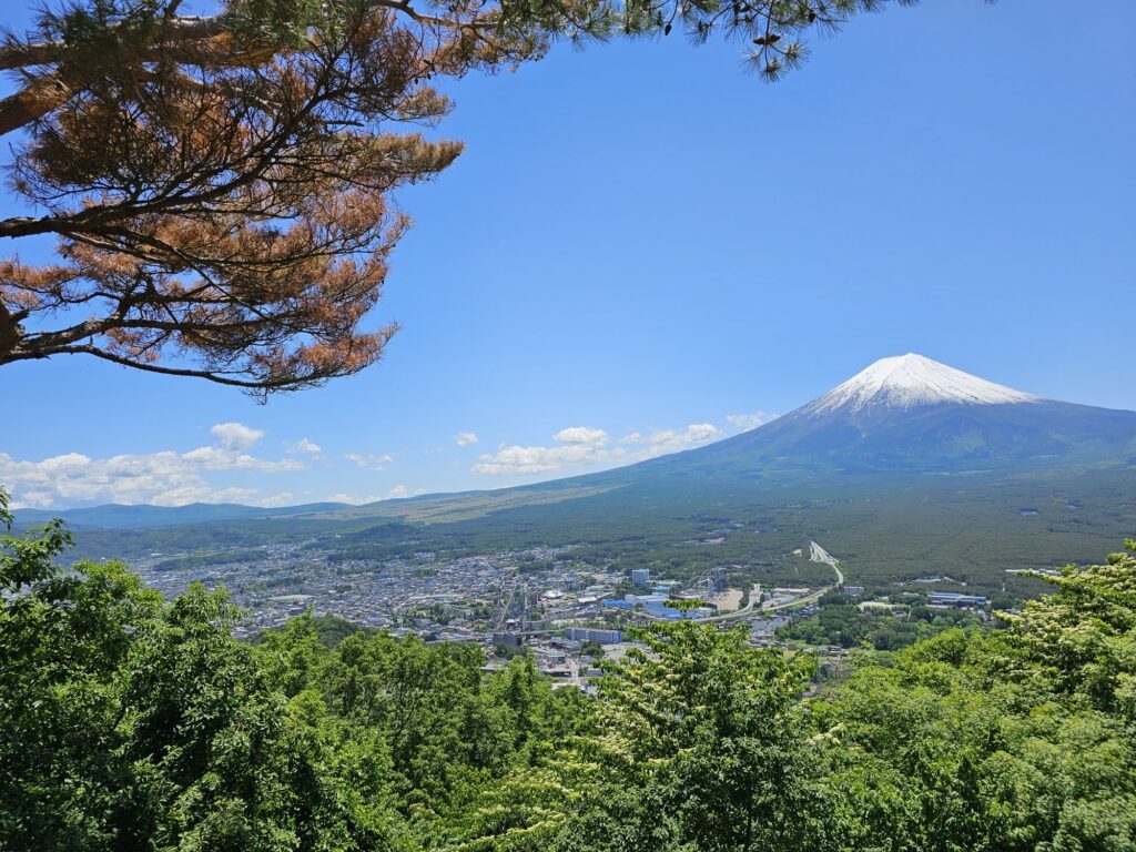 Mount Fuji