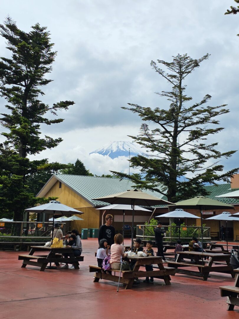 Fuji Safari Park shops