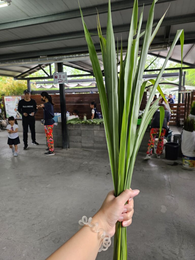 Vegetables to feed the animals at the farm. 