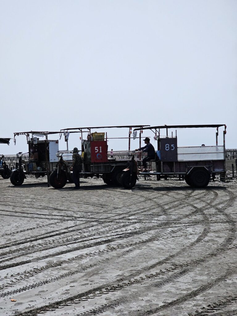 This cute little cart transported us to the clam picking site