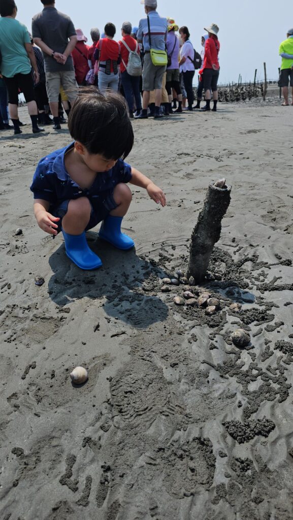 Hengboi2 picking up clams