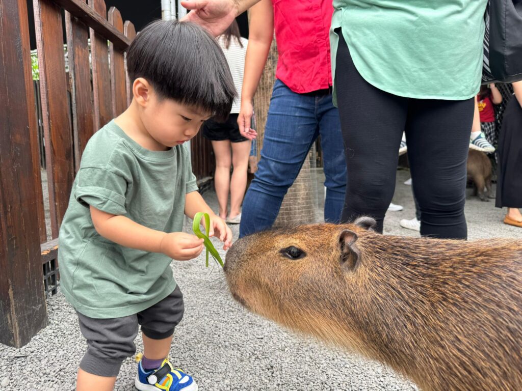 Hengboi 2 feeding animals at the farm