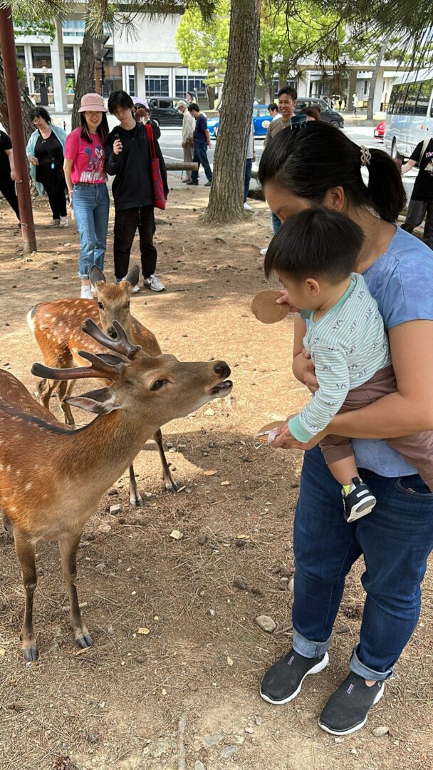 Nara Park